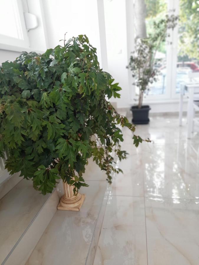 Orion Panzio Bed & Breakfast Hajduszoboszlo Bagian luar foto